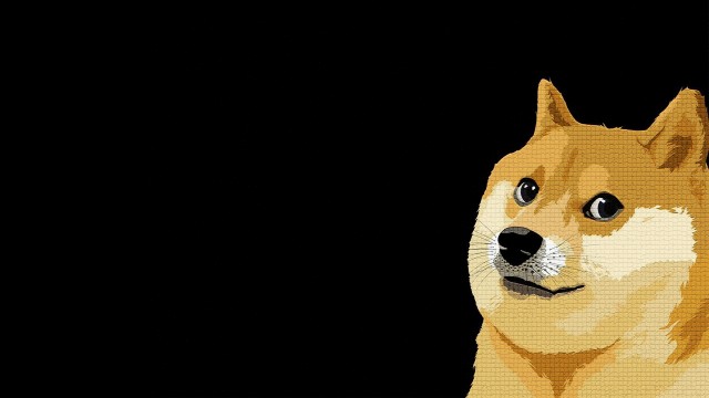 Shiba Inu Dog