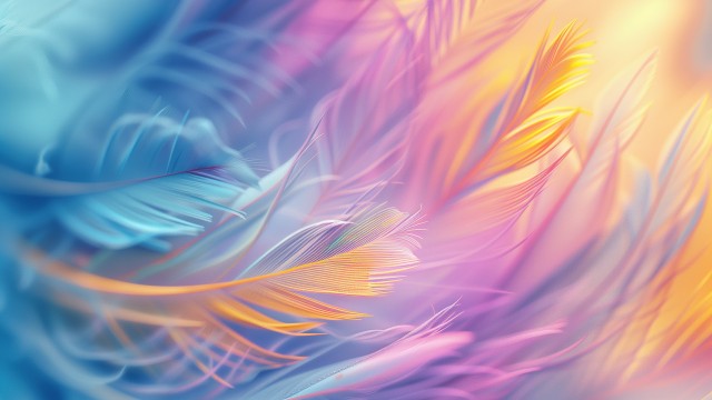 Colorful Feathers
