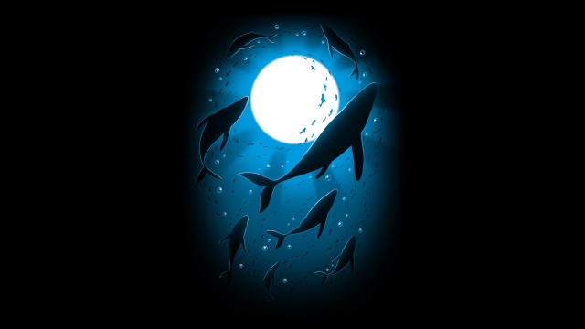 Moonlight Underwater