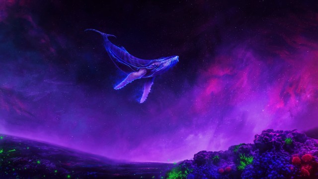 Whale Surreal