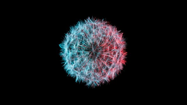 Dandelion flower AMOLED