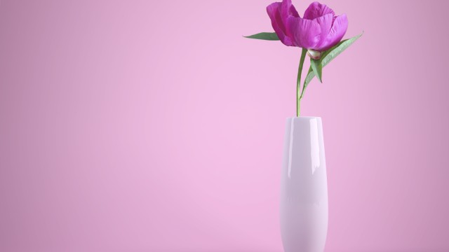Pink flower Flower vase