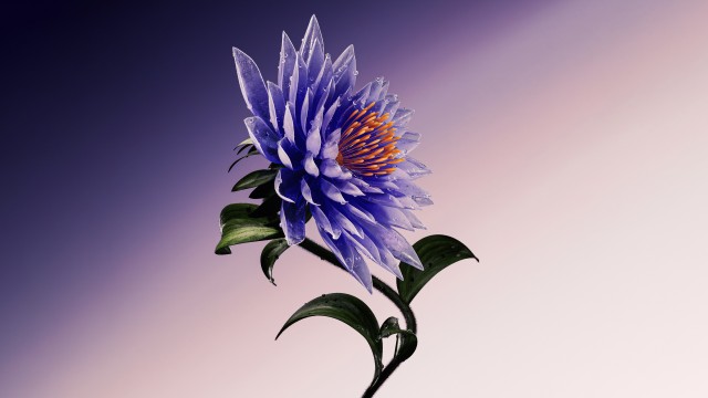 Purple Flower Artistic