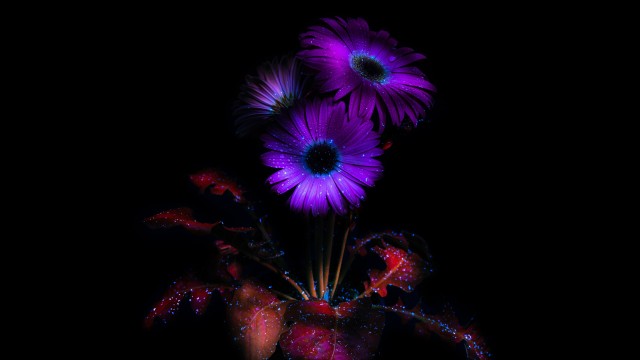 Purple Flowers Glowing