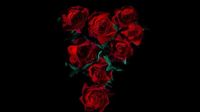 Red Roses AMOLED