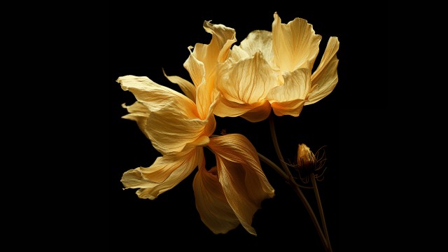Yellow flowers Digital render