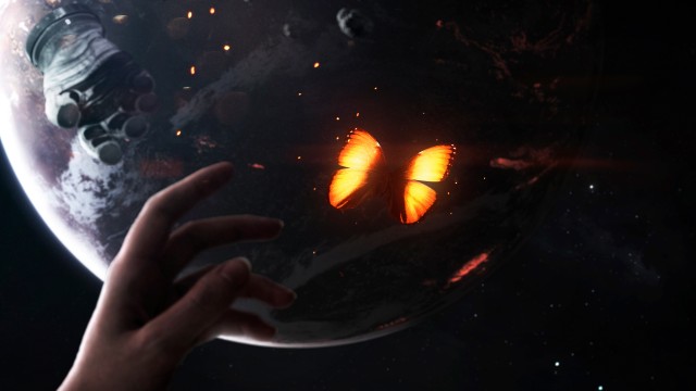 Butterfly Outer space