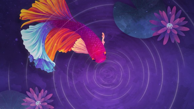 Colorful fish Ripple