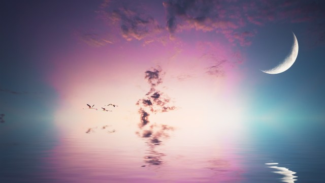 Crescent Moon Flying birds