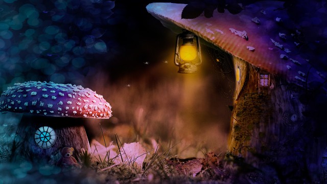 Mushroom house Lantern