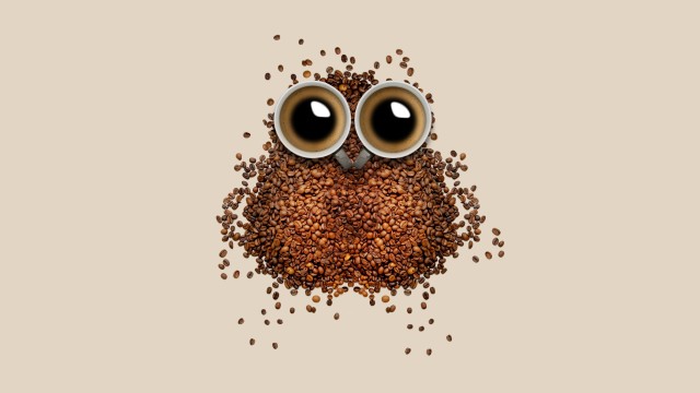 Coffee beans Owl