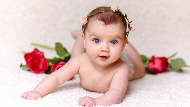 Cute Baby Rose flowers