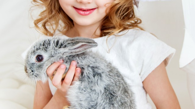 Cute Girl Rabbit