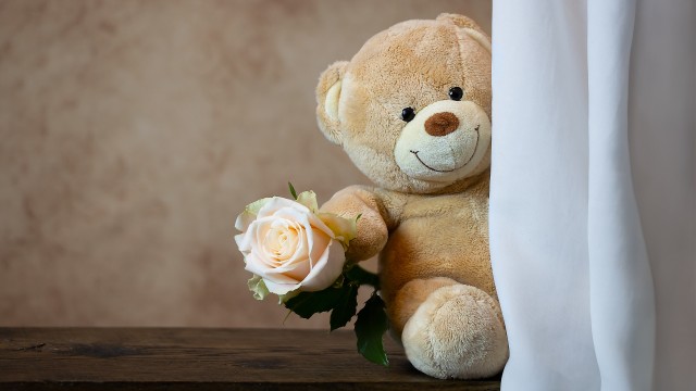 Teddy bear Rose