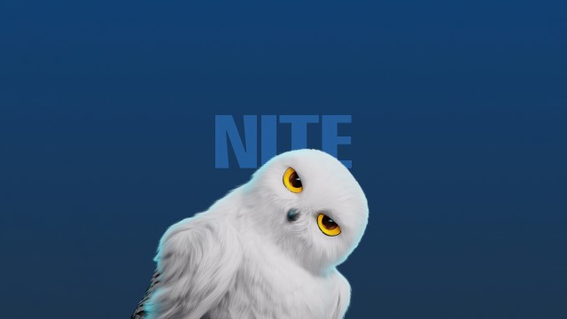 White Owl Cute cartoon
