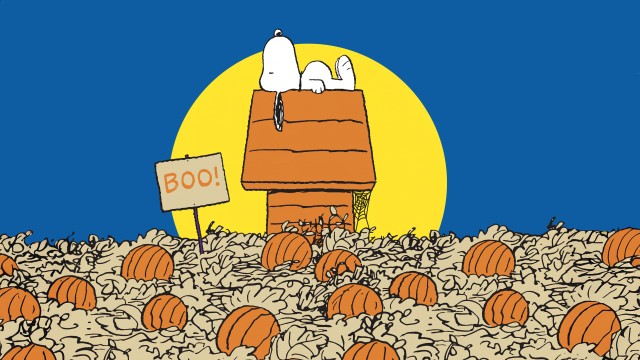 Snoopy Halloween Pumpkins